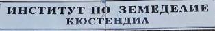 institut 3