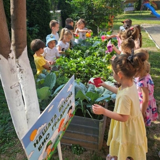 gradinari-