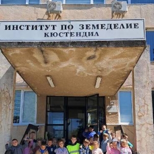 institut-