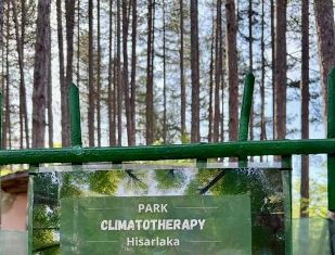 park