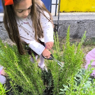 bilkite-